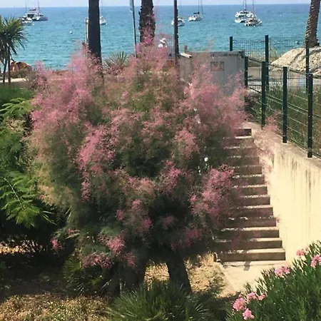 Apartman - A Perte De Vue Sanary-sur-Mer